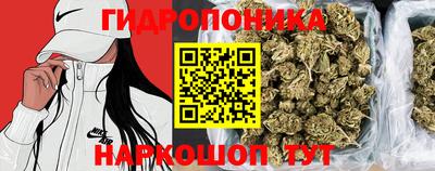 тгк Камышлов