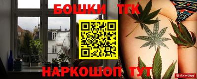 тгк Камышлов