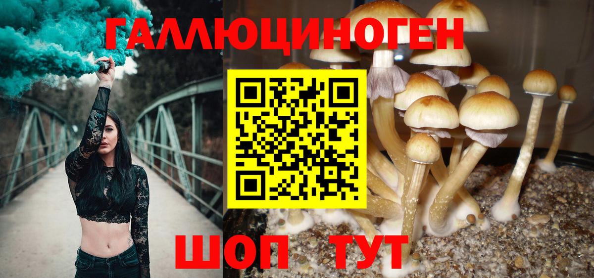 Чехов  где продают наркотики  Вход с VPN  Псилоцибиновые грибы GOLDEN TEACHER 